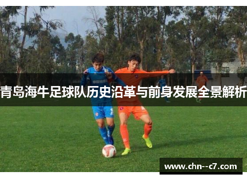 青岛海牛足球队历史沿革与前身发展全景解析 青岛海牛足球队历史沿革与前身发展全景解析