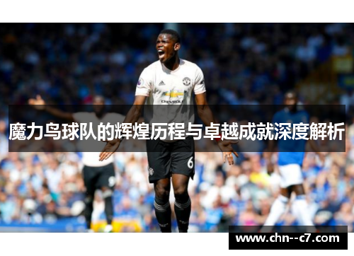 魔力鸟球队的辉煌历程与卓越成就深度解析 魔力鸟球队的辉煌历程与卓越成就深度解析