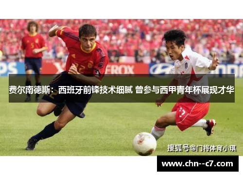 费尔南德斯：西班牙前锋技术细腻 曾参与西甲青年杯展现才华