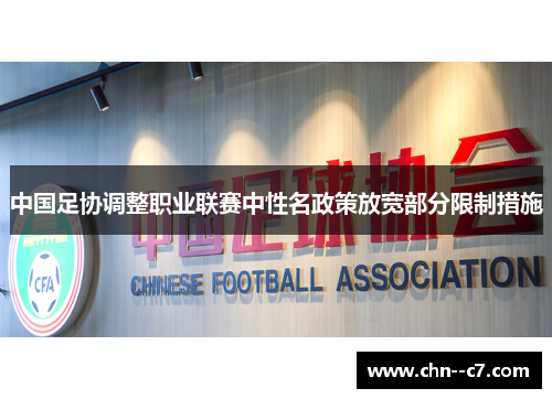 中国足协调整职业联赛中性名政策放宽部分限制措施